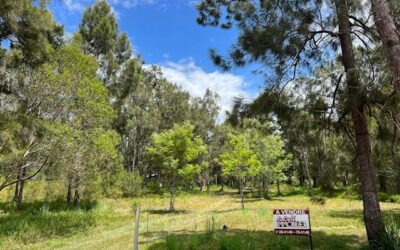 TERRAIN PLAT – OUENGHI Rivière à la Vente