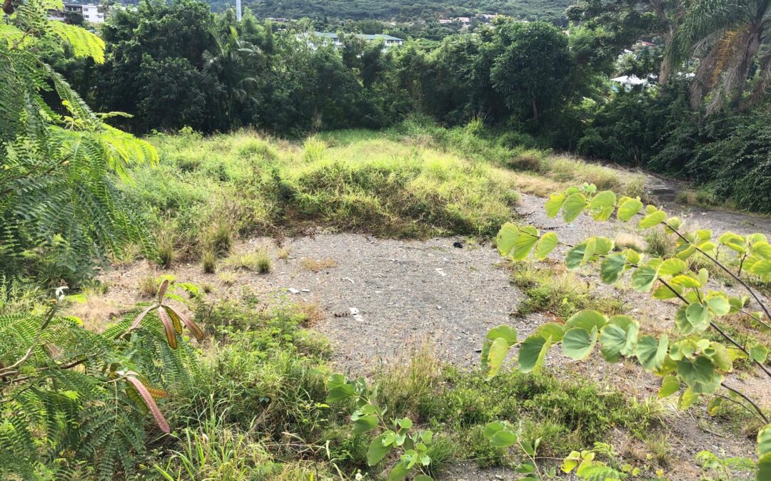 TERRAIN au PONT DES FRANCAIS à la VENTE