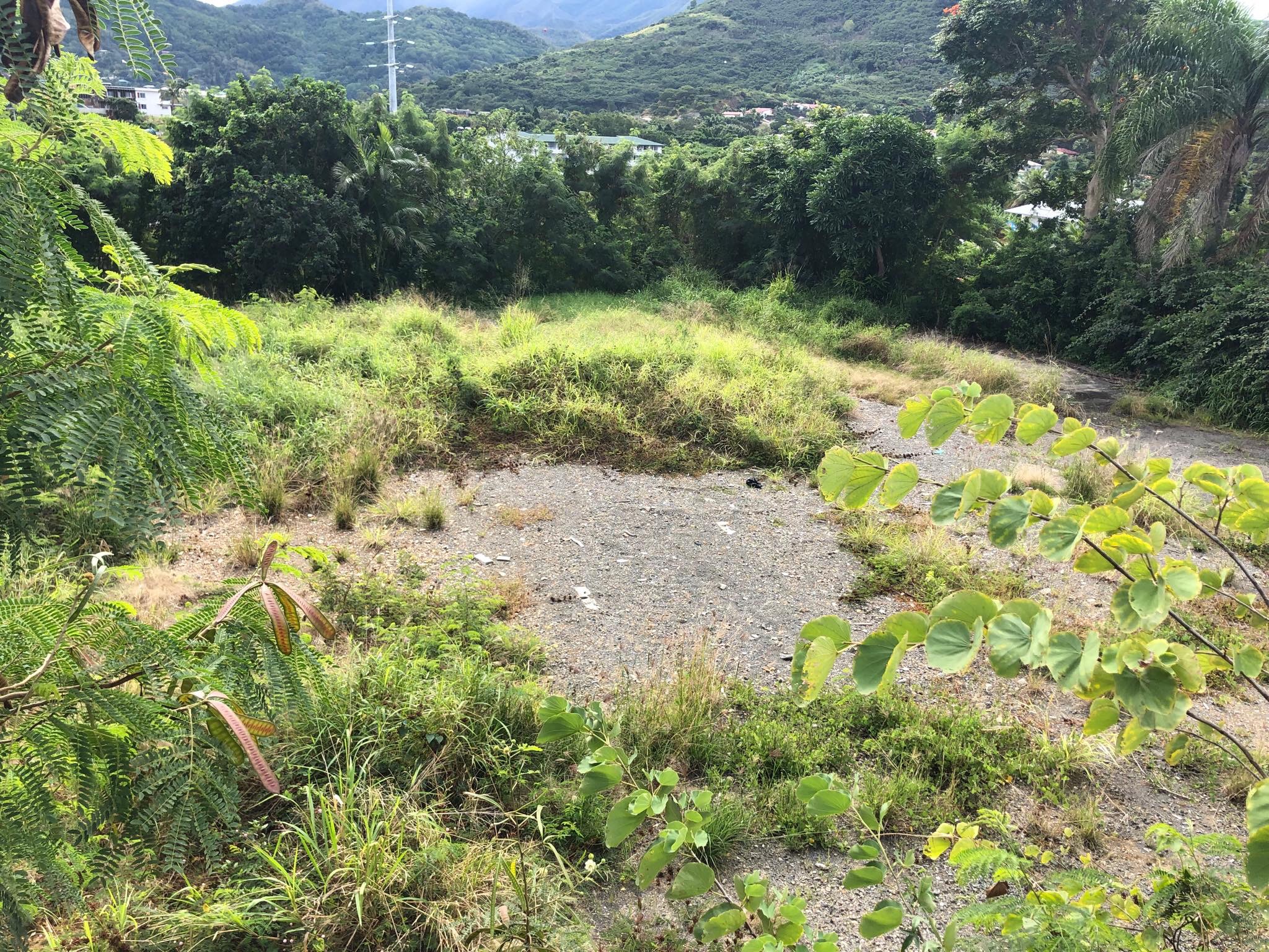 TERRAIN au PONT DES FRANCAIS à la VENTE